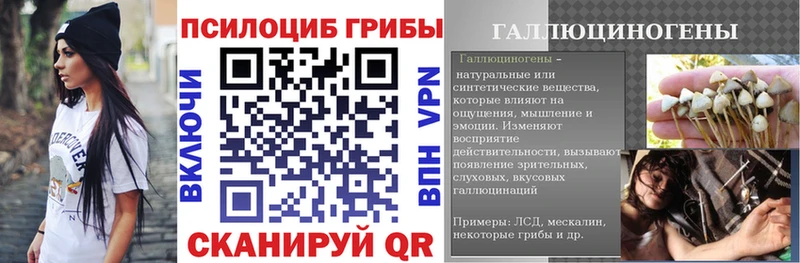 darknet наркотические препараты  Берёзовский  Галлюциногенные грибы ЛСД  как найти  
